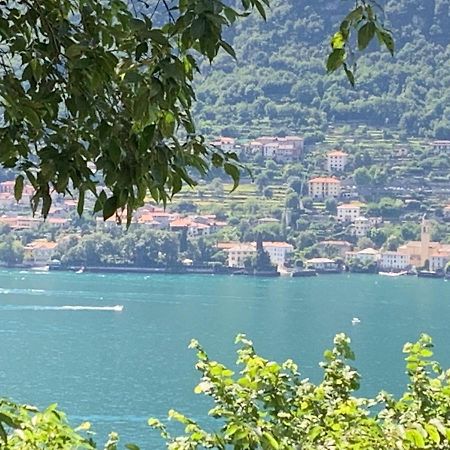 Apartment Casa Dono Il Lago Pognana Lario Екстер'єр фото