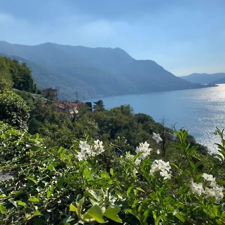 Apartment Casa Dono Il Lago Pognana Lario Екстер'єр фото