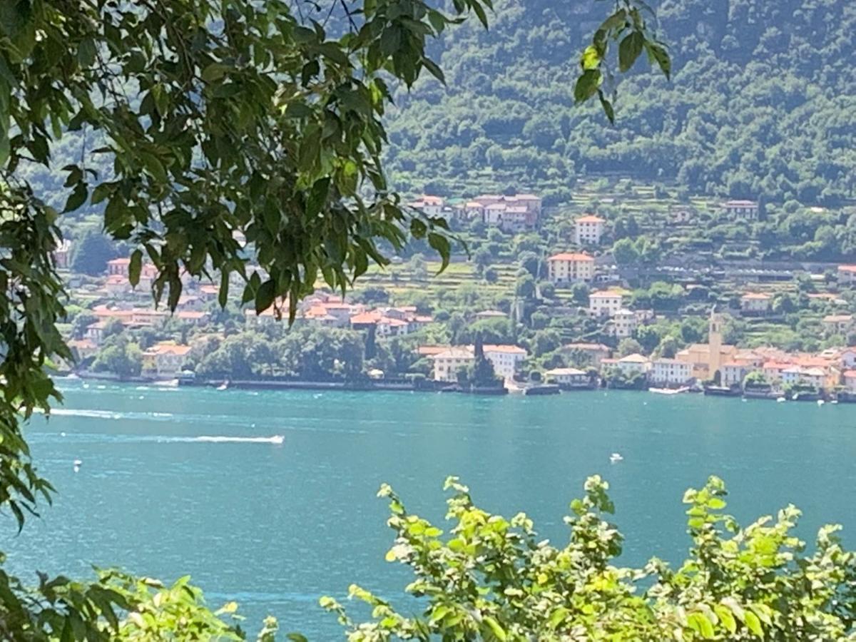 Apartment Casa Dono Il Lago Pognana Lario Екстер'єр фото