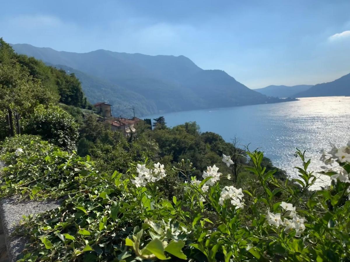 Apartment Casa Dono Il Lago Pognana Lario Екстер'єр фото