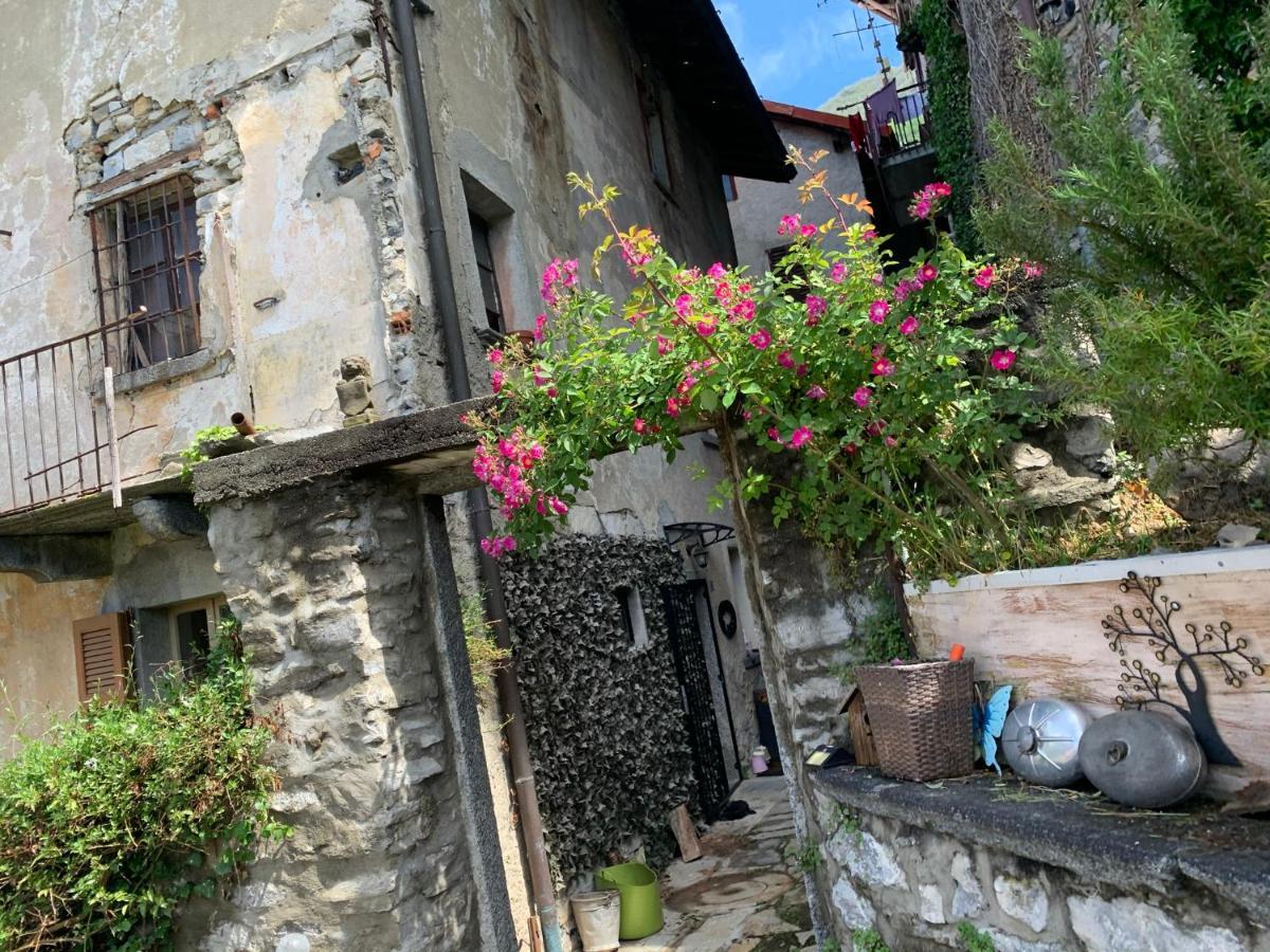 Apartment Casa Dono Il Lago Pognana Lario Екстер'єр фото