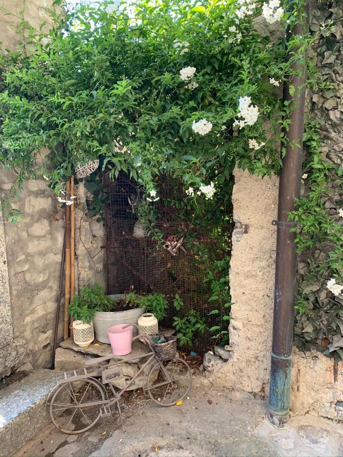 Apartment Casa Dono Il Lago Pognana Lario Екстер'єр фото